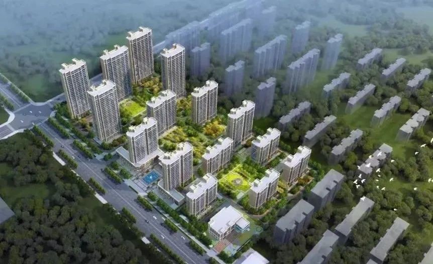 【項(xiàng)目負(fù)責(zé)人說(shuō)】葉書莊：勇毅前行 精益求精