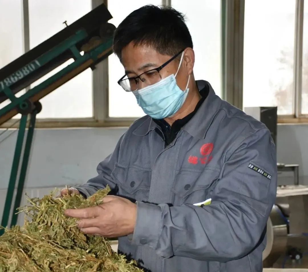 【向下扎根，向上生長(zhǎng)】孫吉民：20年堅(jiān)持做一件事